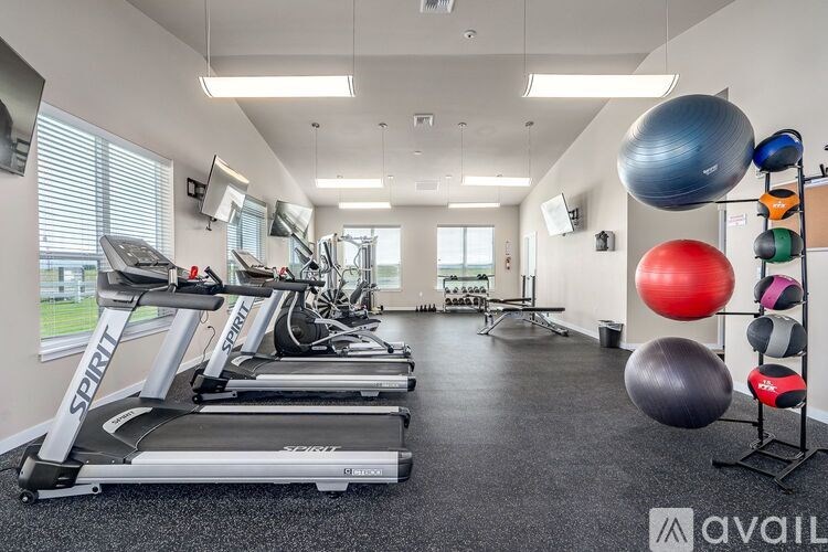 A gym with treadmills, exercise balls, and a mirror.