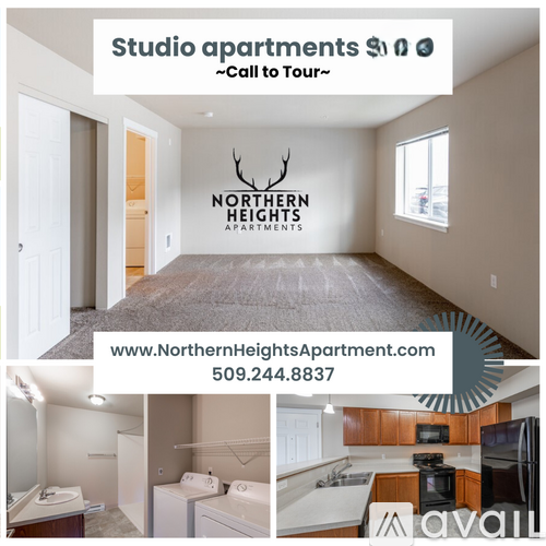 A studio apartment is available for rent at Northern Heights Apartments for $1150.
