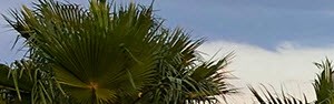 Mallory Square Tampa Apartments With Waterfront Views