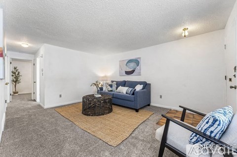 A living room with a grey carpet and a blue couch.