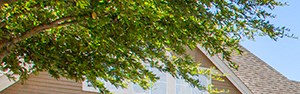 Reflections at Valley Ranch Apartments in Irving, TX | 8801 ...