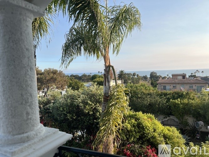 A palm tree stands tall in a lush garden.