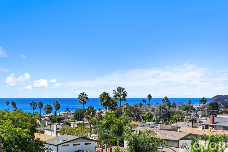 A view of a street with cars and palm trees.