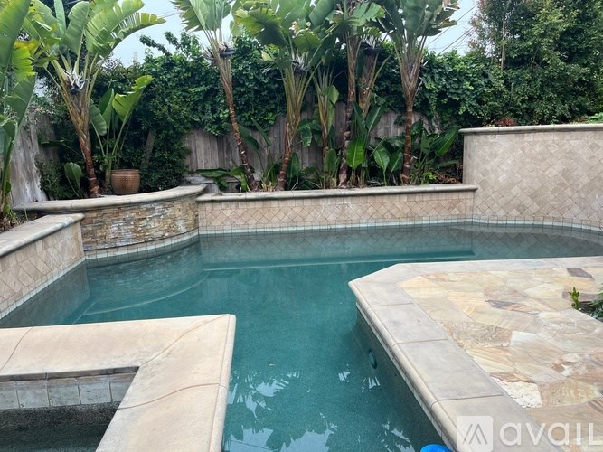 A small pool surrounded by a stone wall and trees.