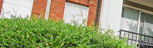 Retreat At Spring Park Garland Apartments For Rent