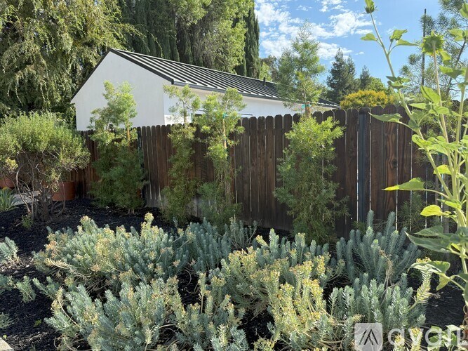 A house with a grey roof is surrounded by a garden with green plants.