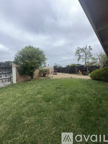 A backyard with a fence and a tree.