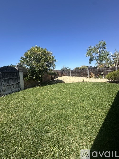 A backyard with a fence and a tree.