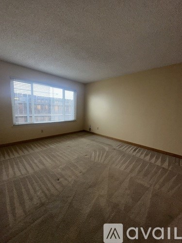 A room with a carpeted floor and a window with blinds.