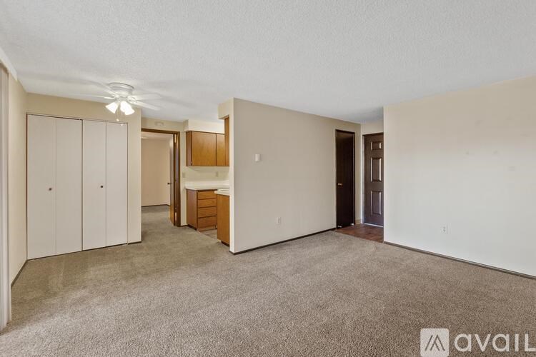 A spacious living room with a carpeted floor and a kitchen area in the background.