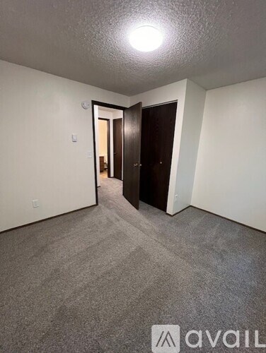 A room with a carpeted floor and two doors.