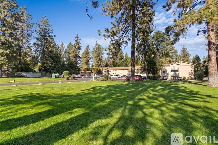 A sunny day in a park with trees and a building in the background.