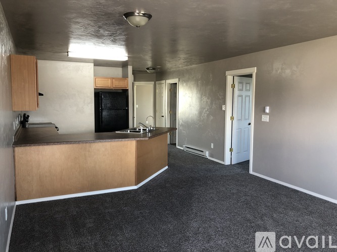 A kitchen area with a counter and cabinets.