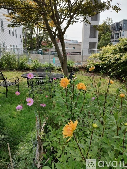A garden with a variety of flowers and a bench.