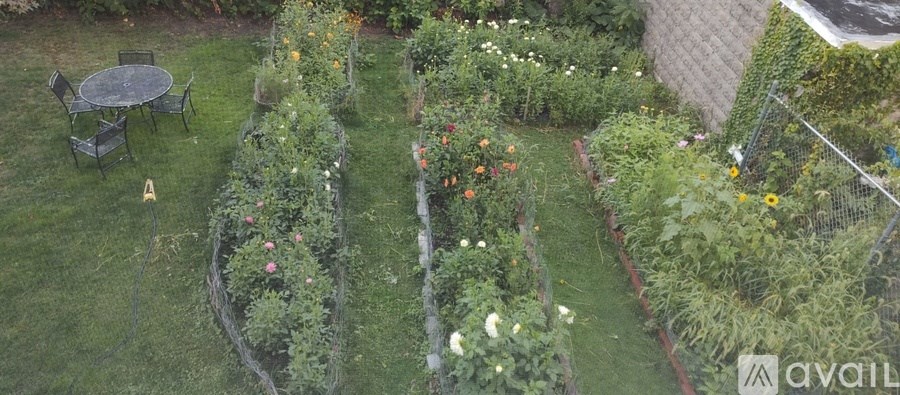 A backyard with a table and chairs and a fence.