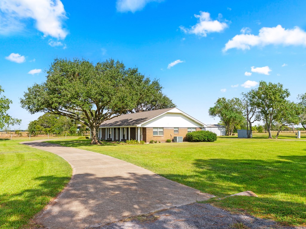 A house with a driveway and a tree in front of it.
