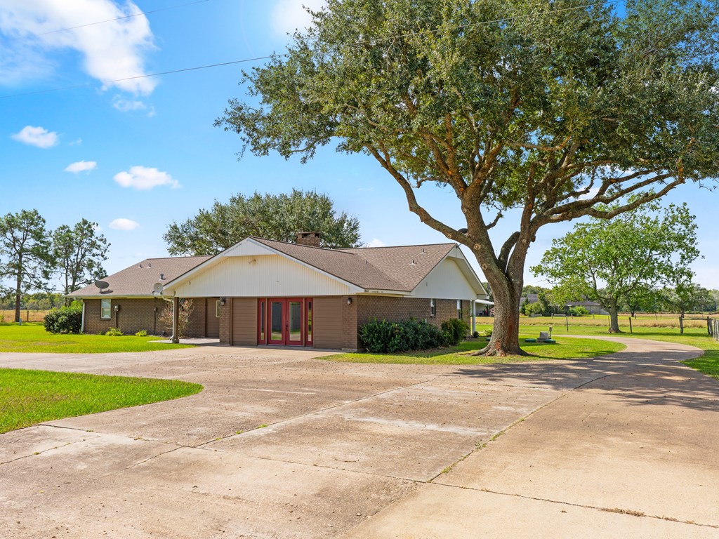 A house with a driveway and a large tree in front.
