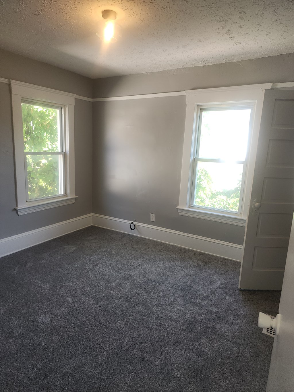 A room with grey carpet and two windows.