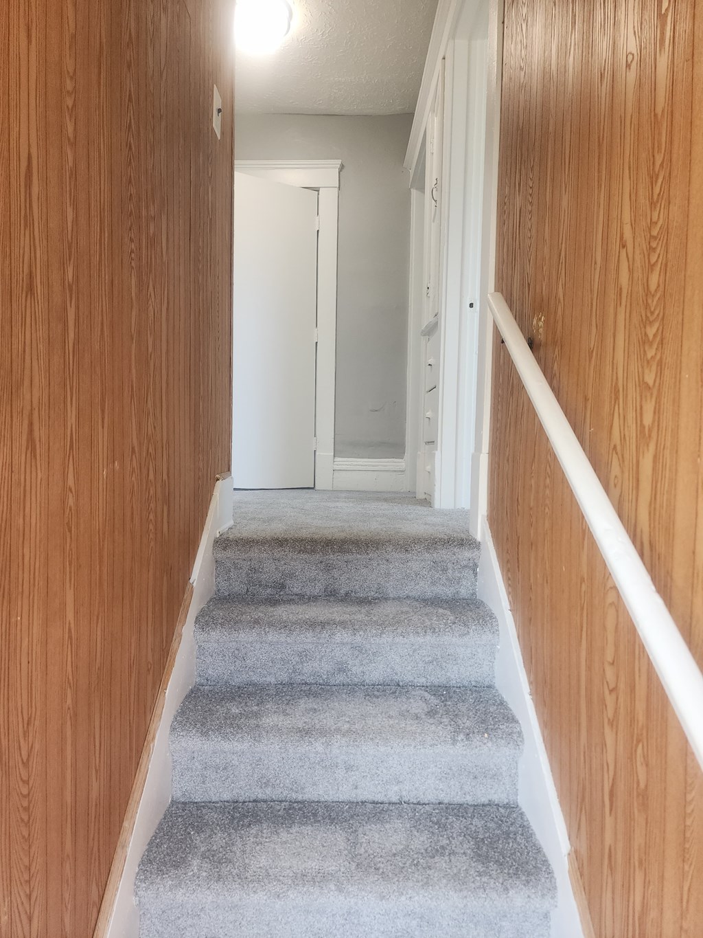 A staircase with a carpeted runner between the steps.