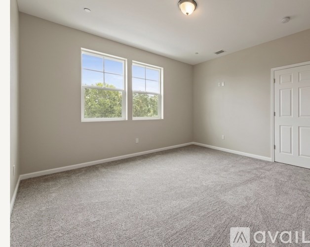 A room with a carpeted floor, two windows, and a door.