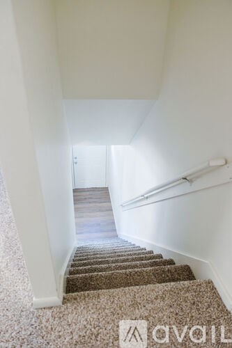 A staircase with a carpeted runner and white risers.