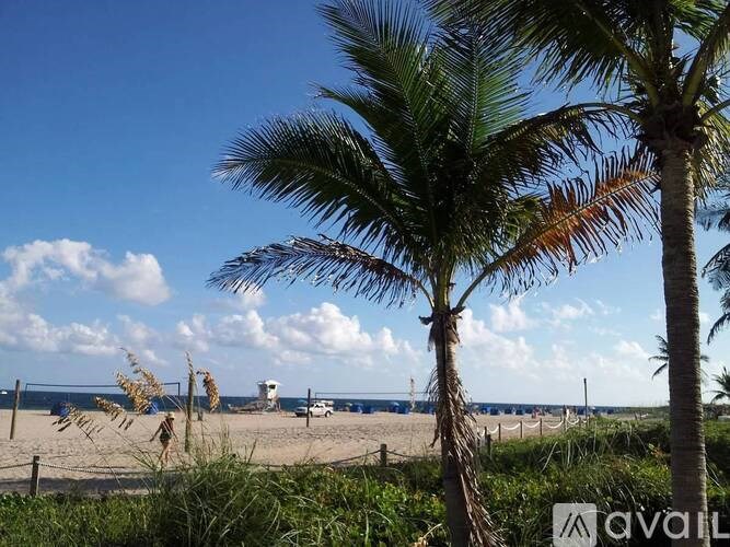 A palm tree stands in front of a beach scene.