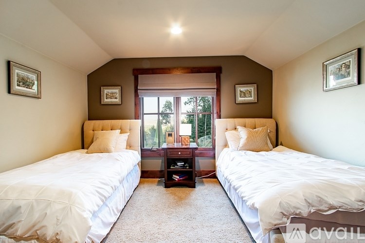 Two twin beds in a room with brown walls and a window.