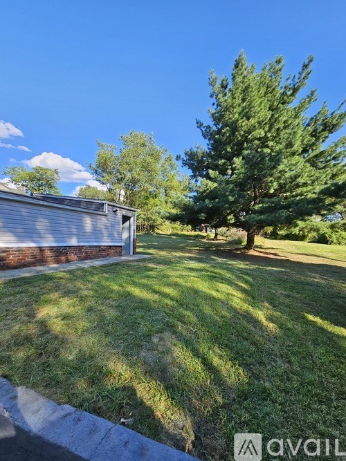 A backyard with a shed and a tree.