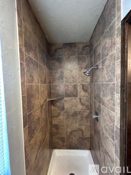 A tiled shower with a white tub and a shower head.