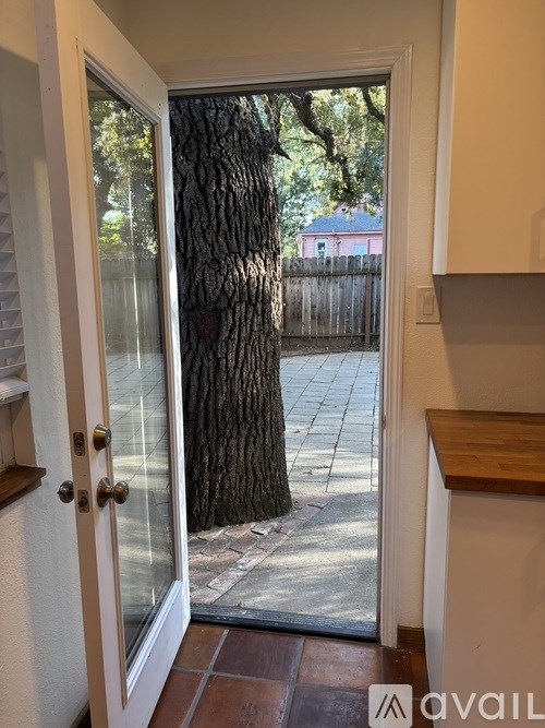 A glass door with a tree in the background.