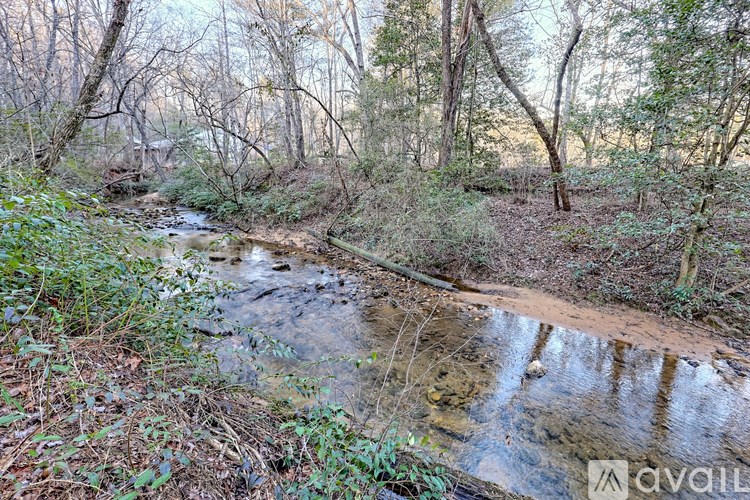A small stream flows through a wooded area.
