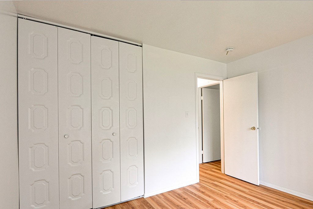 Closet with white doors and wooden floor.
