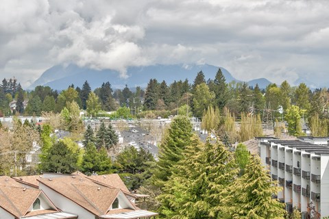 A view of a residential area with a mountain in the background.