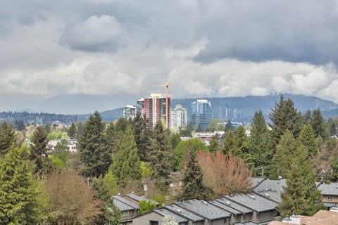 A cityscape with a mix of residential and commercial buildings, surrounded by trees and under a cloudy sky.