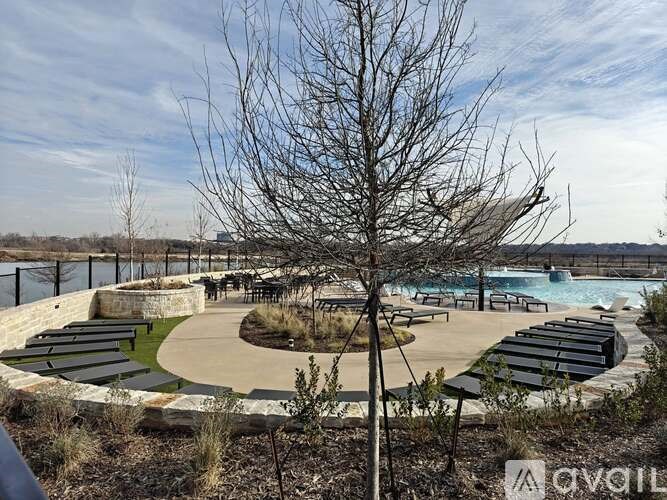A leafless tree stands in front of a pool area.