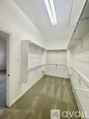 A white walk in closet with a carpeted floor.