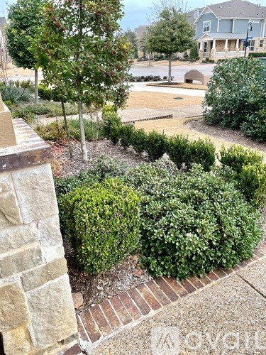 A well-maintained garden with a variety of shrubs and a tree in the foreground.