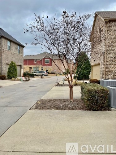 A tree in a front yard with a house in the background.