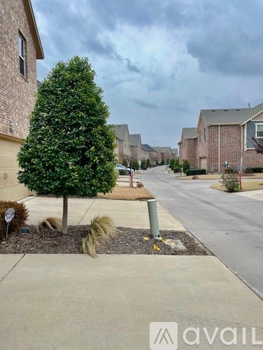 A tree in a front yard with a sign that says "avail" in the background.