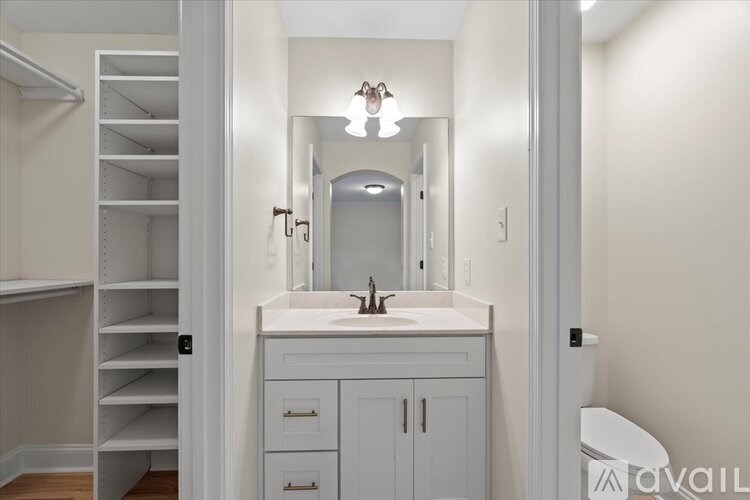 A bathroom with a sink, mirror, and a walk-in closet.