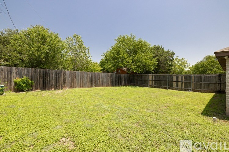A backyard with a wooden fence and green grass.