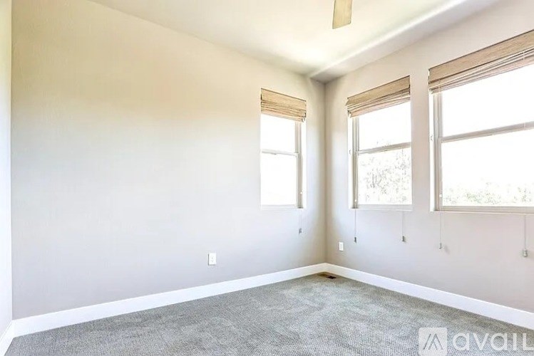 A room with two windows and carpeted floor.