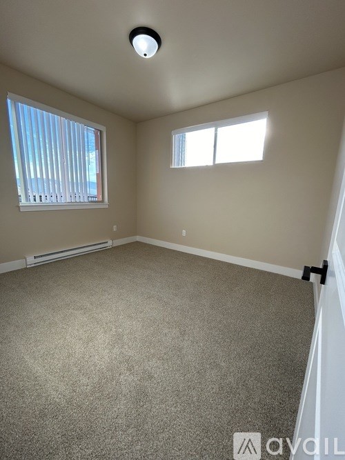 A room with a carpeted floor, a window with blinds, and a ceiling light.
