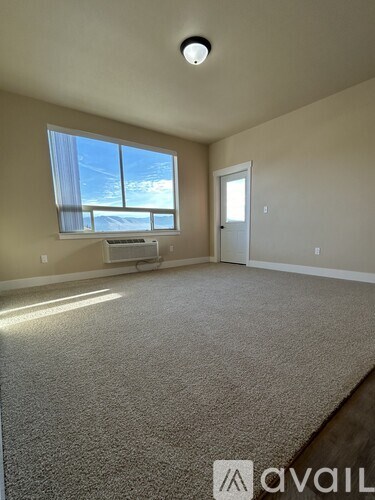 A carpeted room with a window and a door.