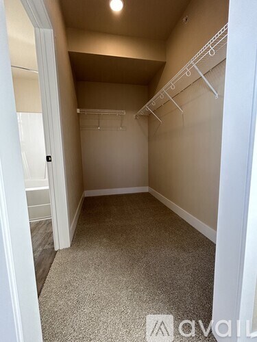 A small, empty closet with a carpeted floor and white walls.