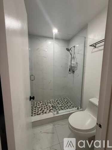 A bathroom with a toilet, a walk-in shower, and a glass door.