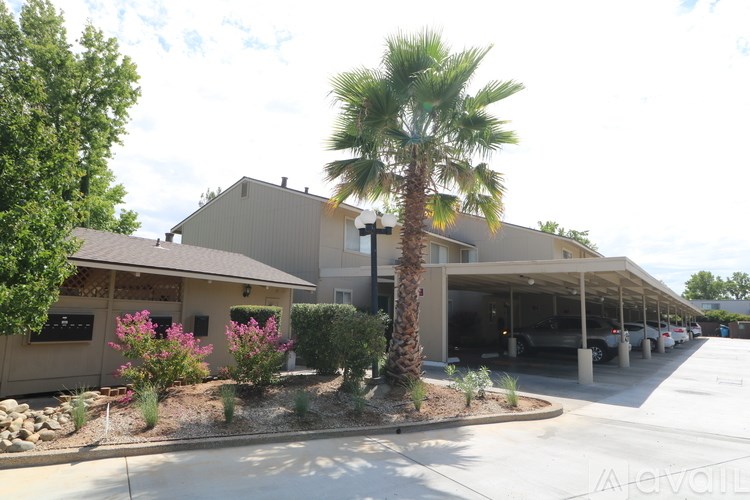 A palm tree stands in front of a building with a parking lot in front of it.