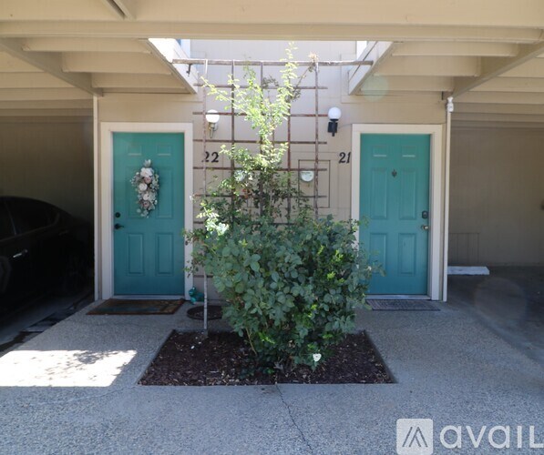 A small tree is in front of a blue door with the number 21 on it.