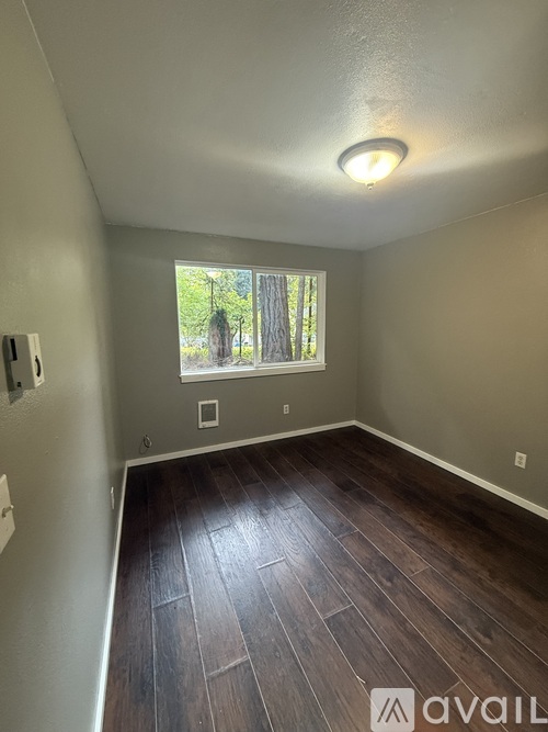 A room with wooden flooring and a window showing trees outside.