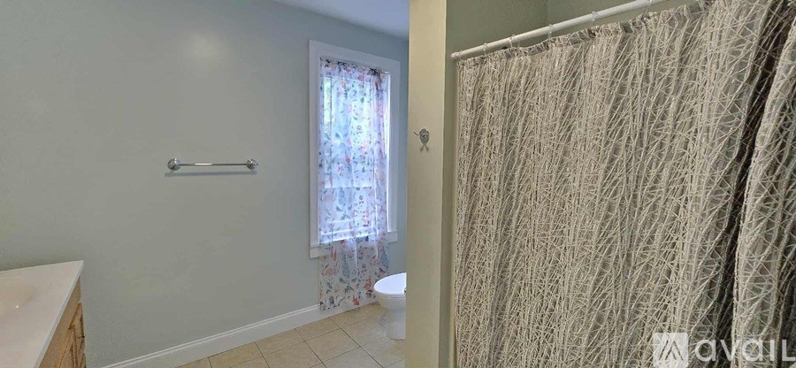 A bathroom with a shower curtain and a toilet.